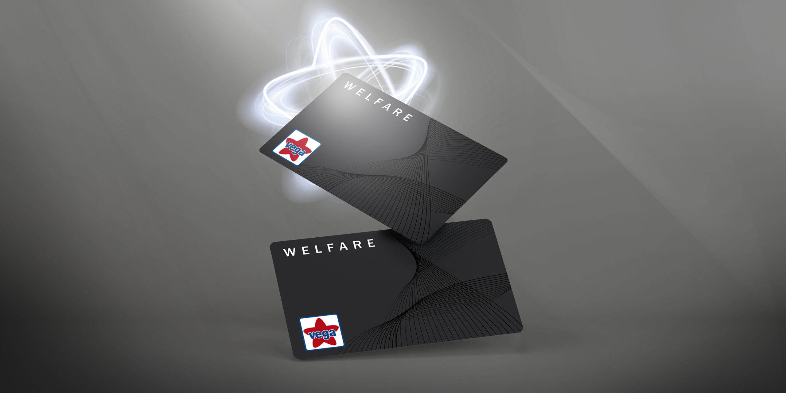 Vega Welfare